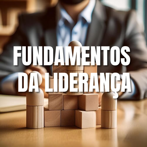 Curso Fundamentos da Lideran&ccedil;a