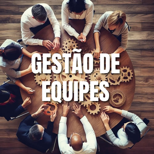 Curso de Gest&atilde;o de Equipes