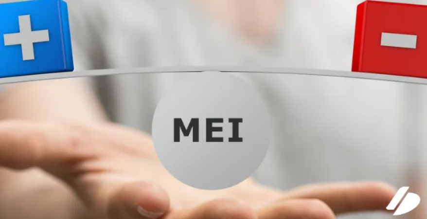 Desvantagens  de se tornar microempreendedor individual