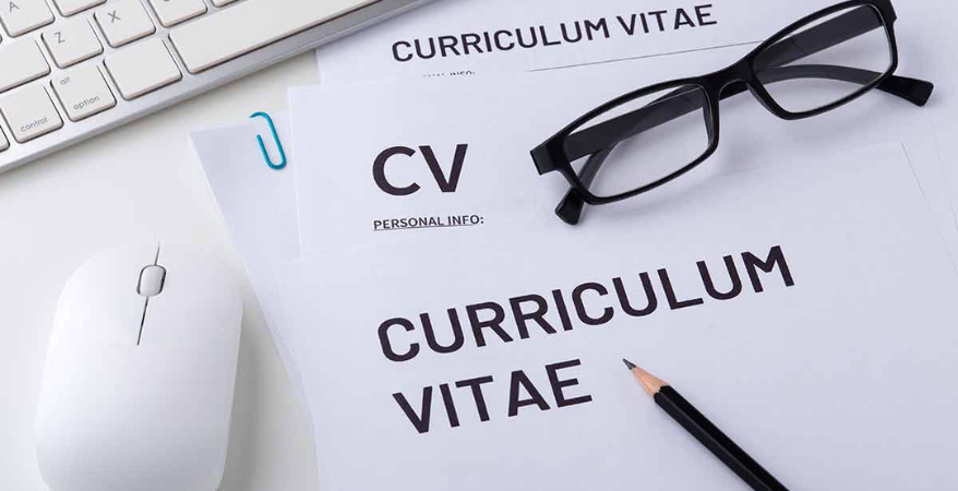 Melhores sites para fazer curr&iacute;culo gr&aacute;tis